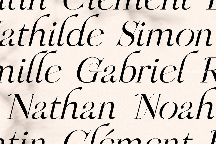 25xt-488204-Chic & Elegant Serif Font Bundle10.jpg