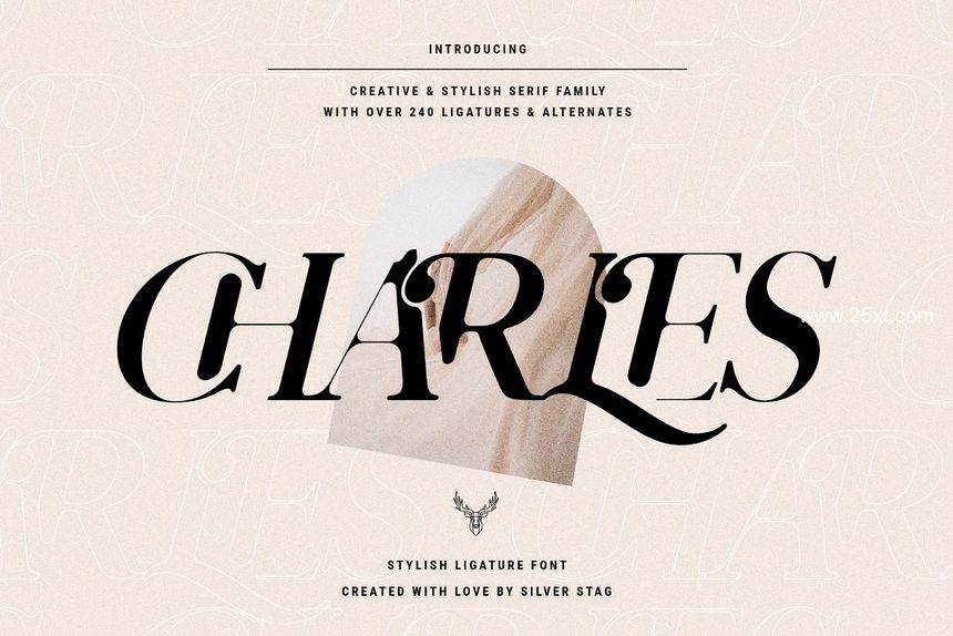 25xt-488204-Chic & Elegant Serif Font Bundle5.jpg