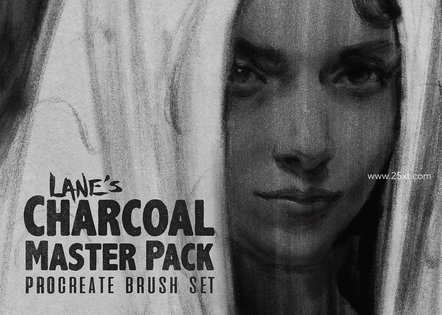 25xt-171171-The Charcoal Master Pack Procreate Brush Set1.jpg
