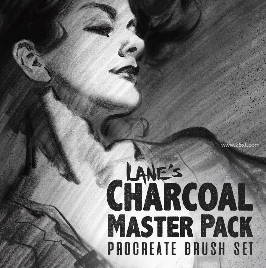 25xt-171171-The Charcoal Master Pack Procreate Brush Set8.jpg