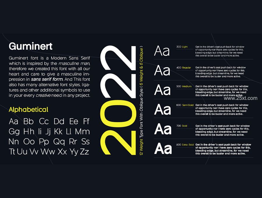 25xt-171249-Guminert Font Family2.jpg