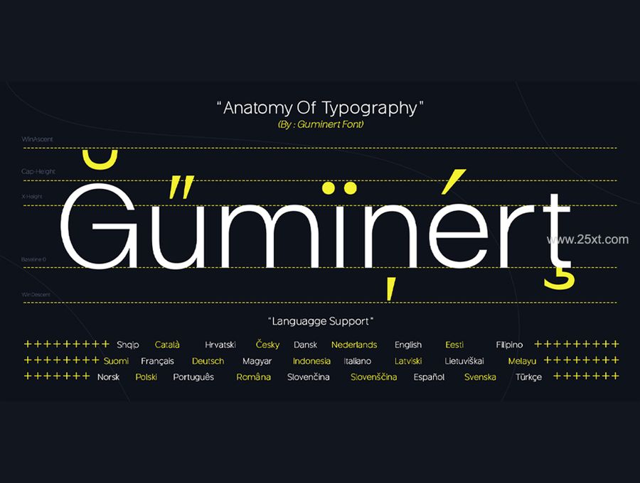 25xt-171249-Guminert Font Family8.jpg