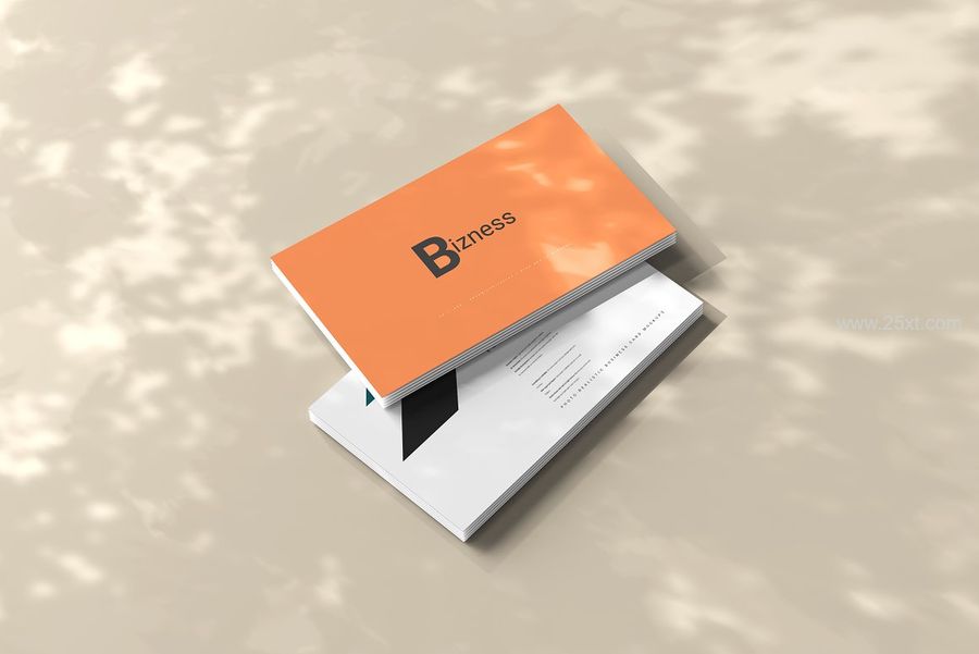 25xt-171251-Horizontal Business Cards Mockup3.jpg