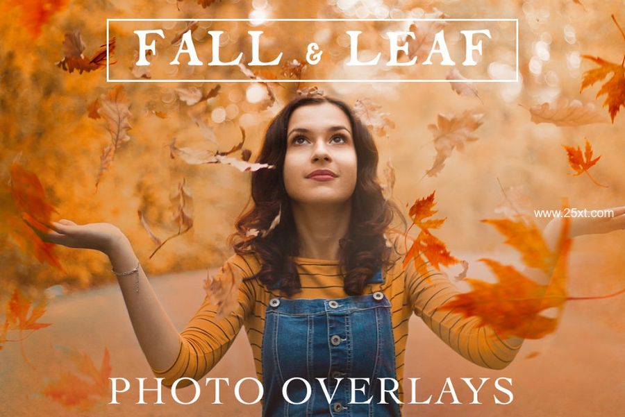 25xt-171566-70 Natural Falling Leaf Overlays1.jpg