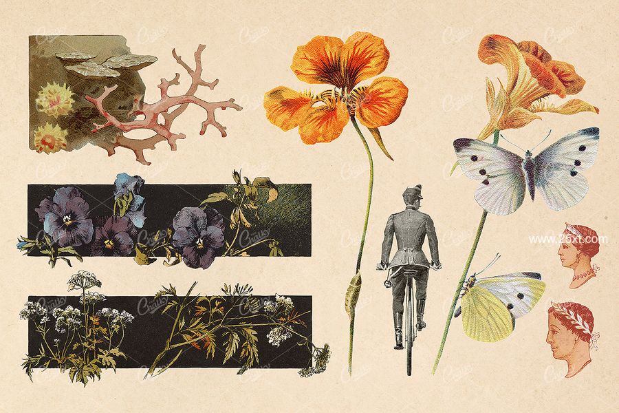 25xt-171744-The Vintage Collage Creator Vol.26.jpg