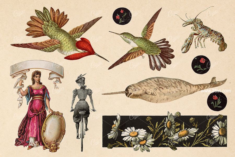 25xt-171744-The Vintage Collage Creator Vol.214.jpg