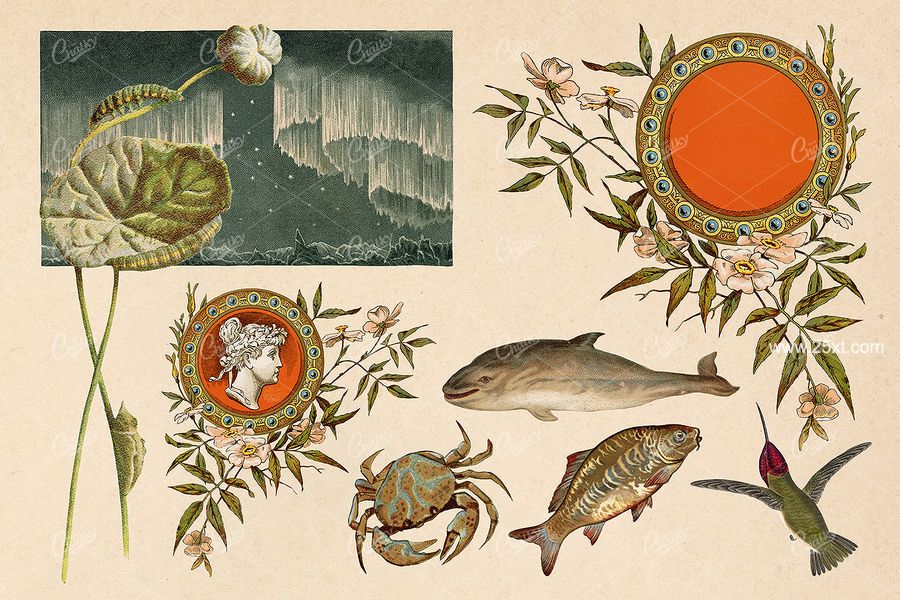 25xt-171744-The Vintage Collage Creator Vol.216.jpg