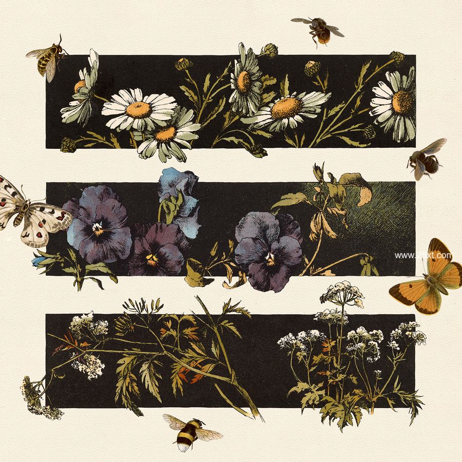25xt-171744-The Vintage Collage Creator Vol.24.jpg
