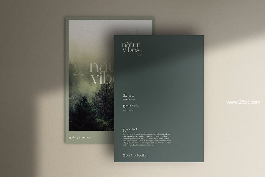 25xt-171946-Colors of Earth stationery mockup6.jpg