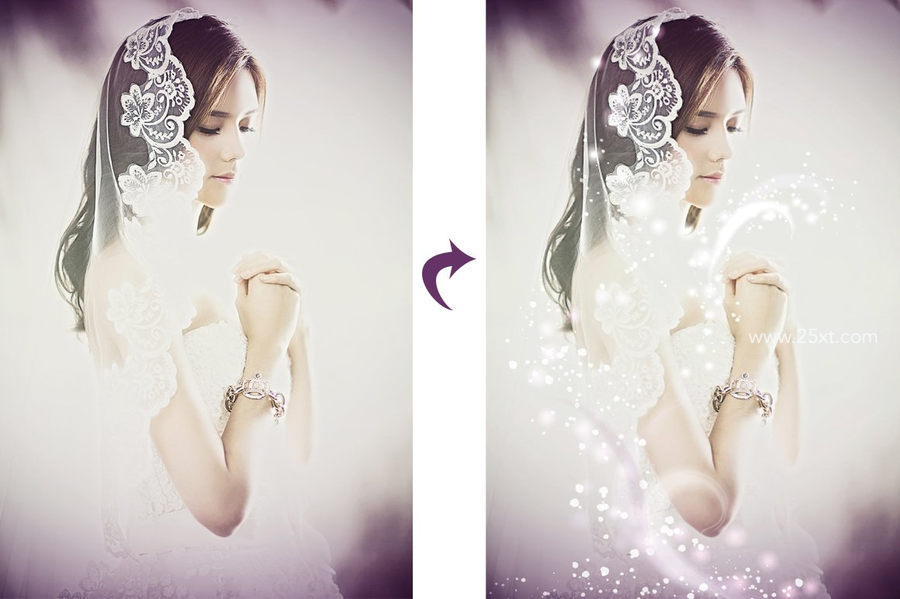 25xt-162241-Fairy Dust Sparkle Brushes5.jpg