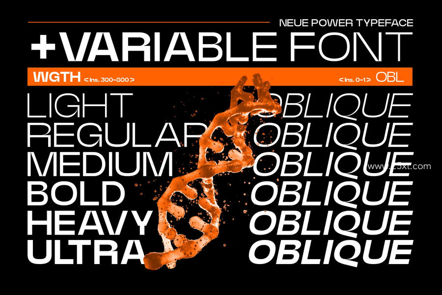 25xt-162244-Neue Power Font Family3.jpg