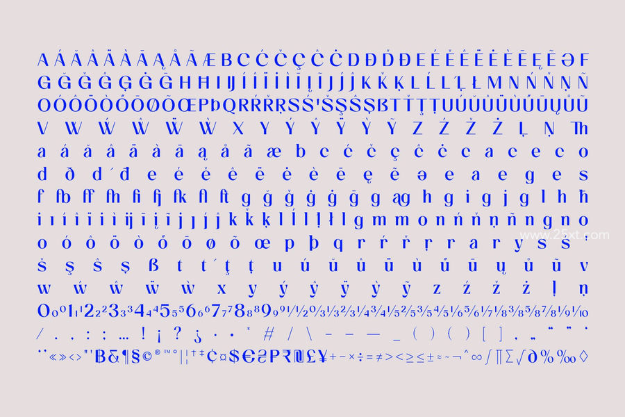 25xt-162245-Cas Olgan Display Typeface12.jpg