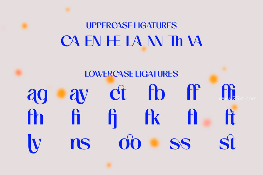 25xt-162245-Cas Olgan Display Typeface11.jpg