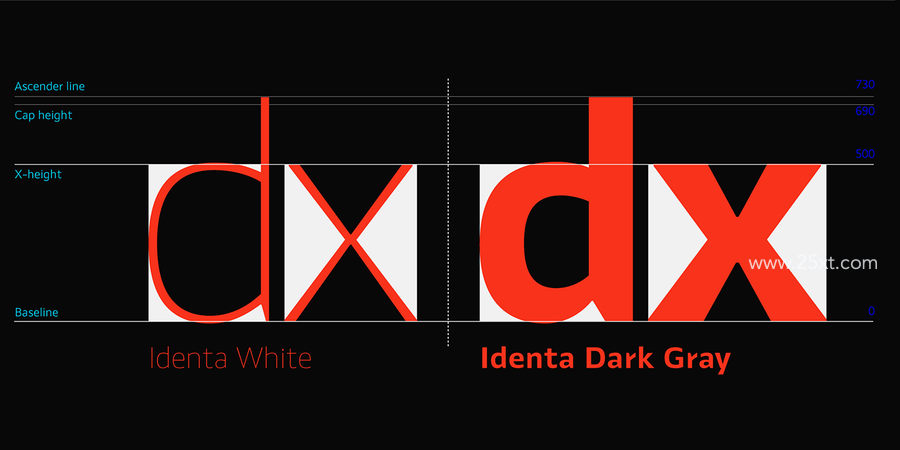 25xt-162289-Identa Font Family3.jpg