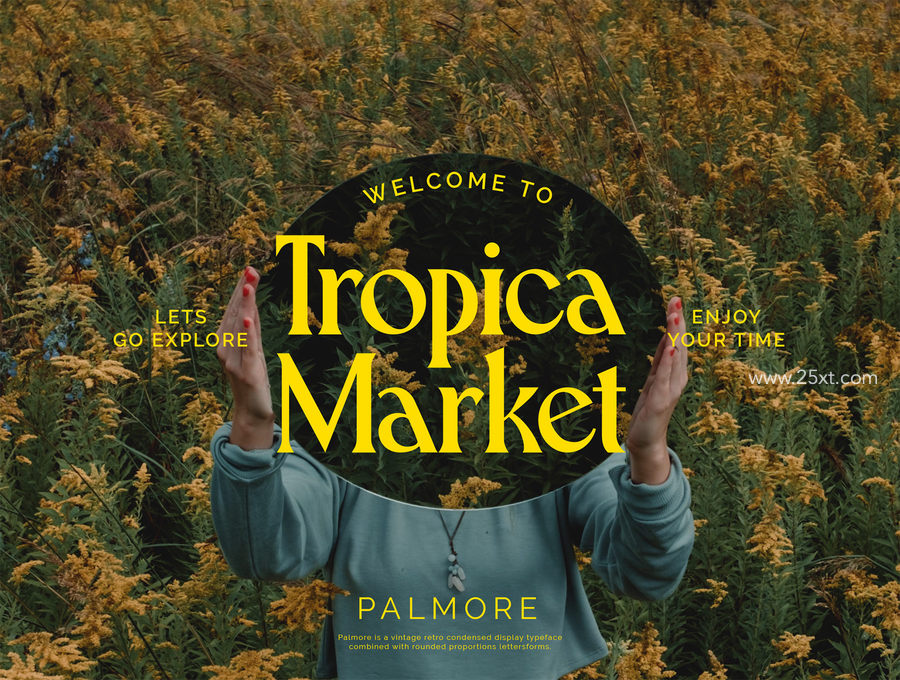 25xt-172513-PALMORE - Vintage Rounded Serif11.jpg