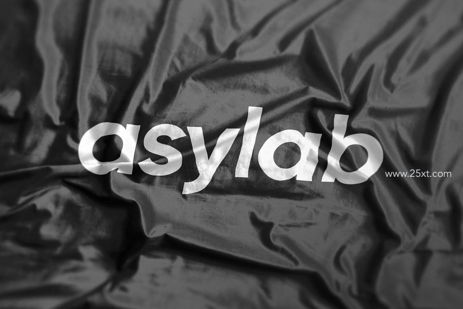25xt-172551-6 Wrinkled Logo Mockups - PSD4.jpg