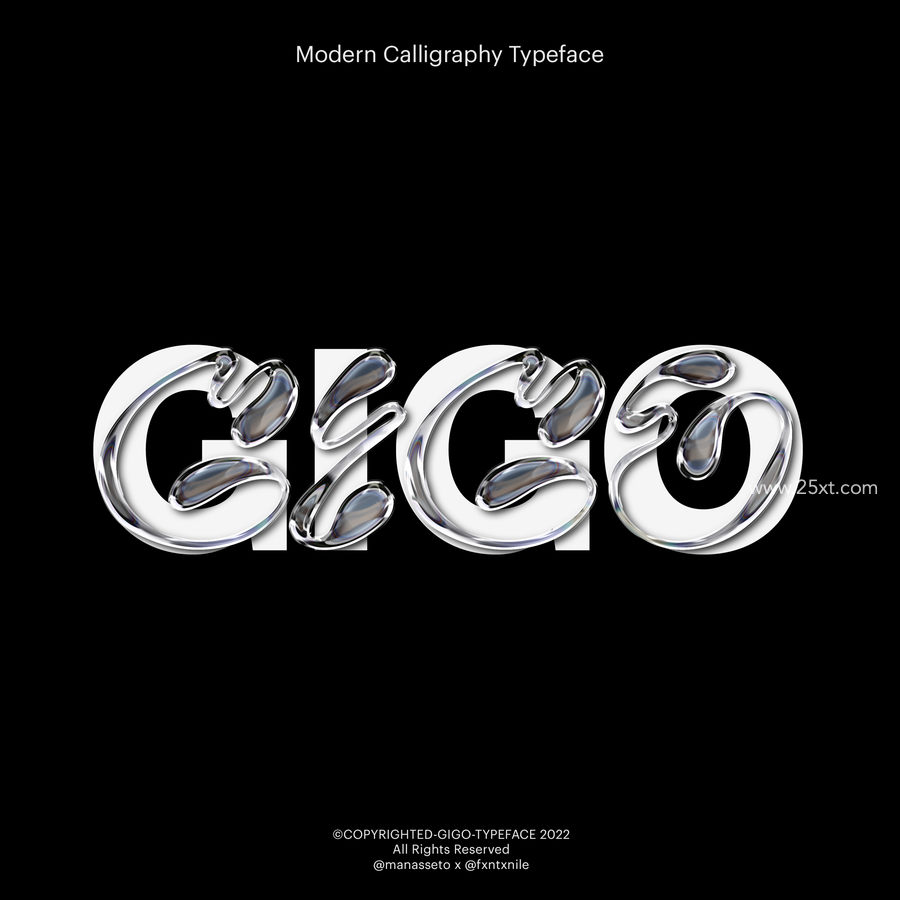 25xt-172651-Gigo Type3.jpg