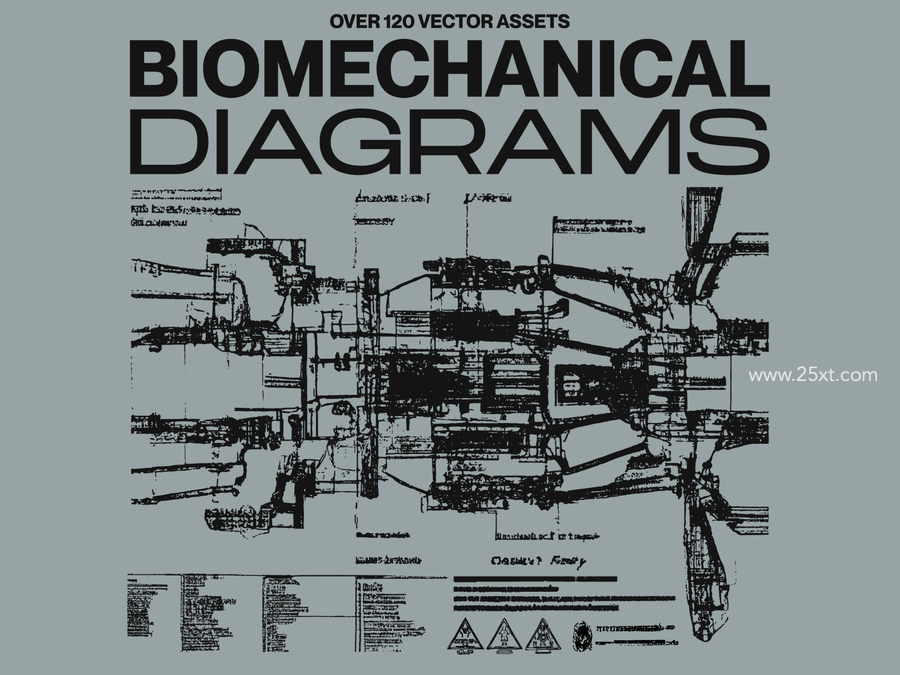 25xt-163402-Biomechanical Diagrams1.jpg