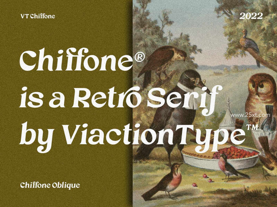 25xt-172676-Chiffone Retro Serif6.jpg