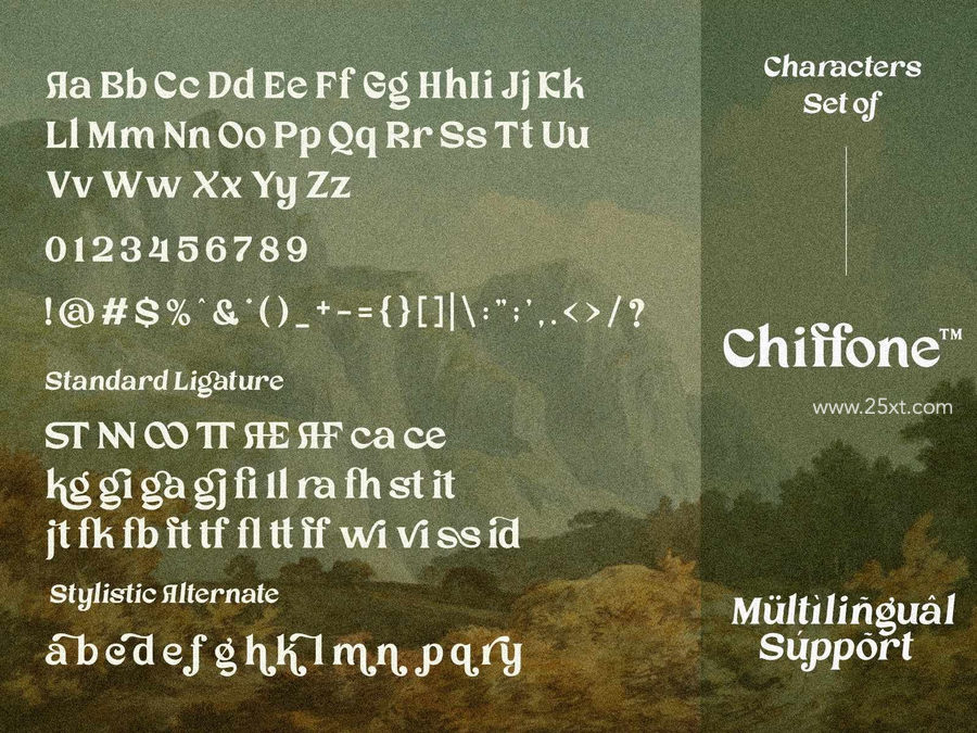 25xt-172676-Chiffone Retro Serif5.jpg