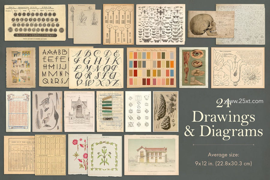 25xt-172701-165 Vintage Paper Ephemera Vol. 28.jpg