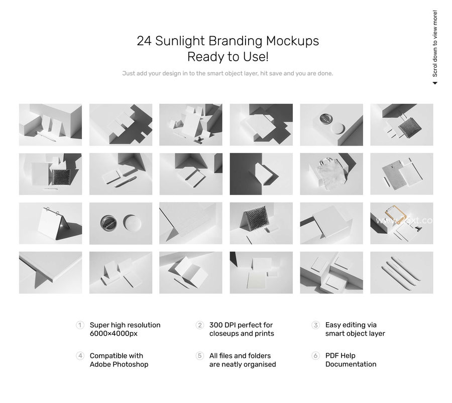25xt-163837-Sunlight Branding Mockups3.jpg