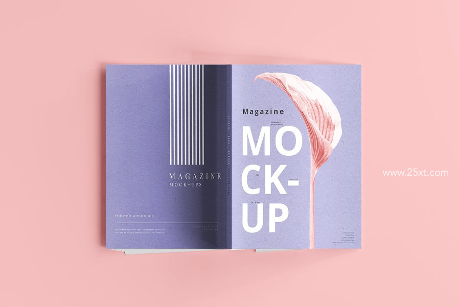 25xt-173009-Magazine Mockups10.jpg