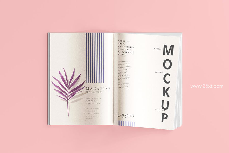 25xt-173009-Magazine Mockups8.jpg