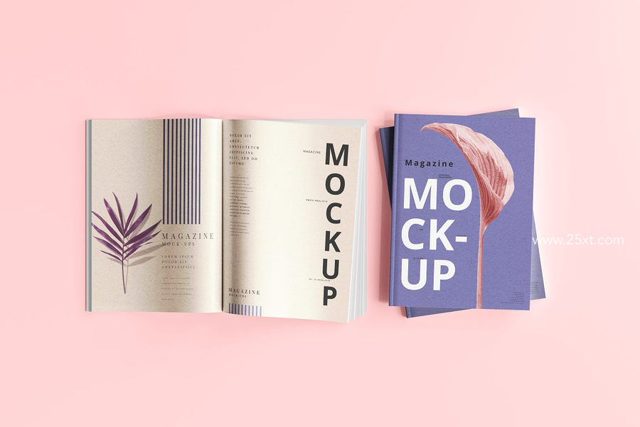 25xt-173009-Magazine Mockups2.jpg