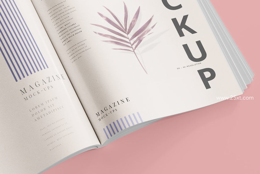 25xt-173009-Magazine Mockups11.jpg