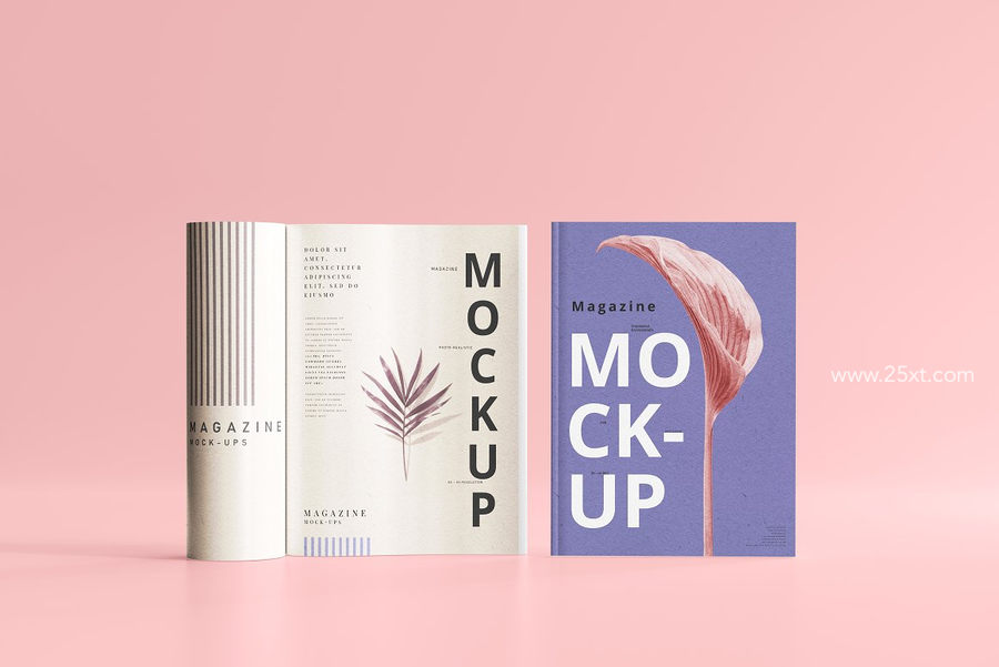 25xt-173009-Magazine Mockups6.jpg