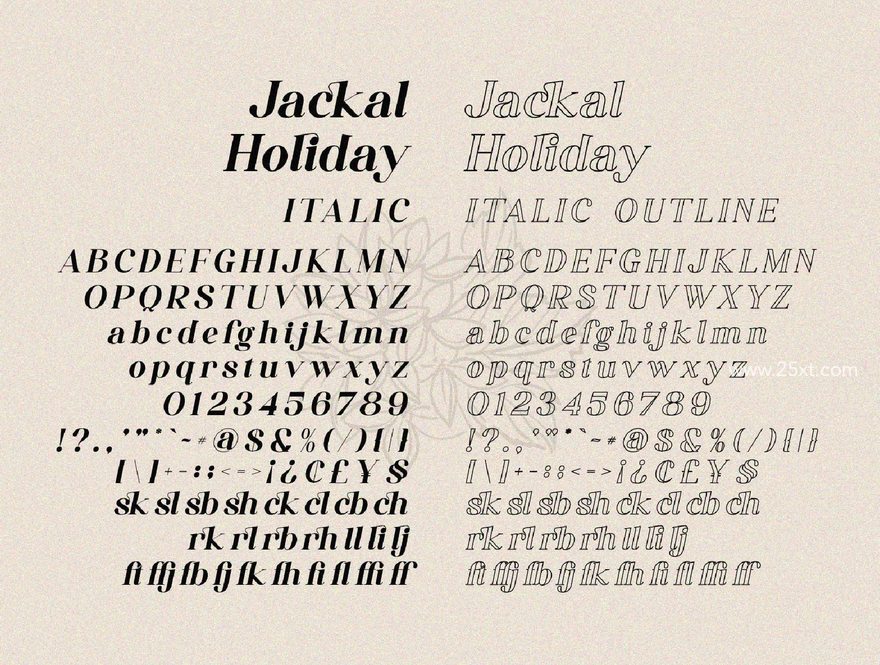 25xt-164165-Jackal Holiday8.jpg