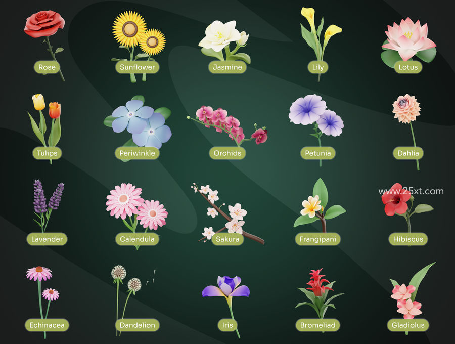 25xt-173041-Flowy - Flowers 3D Icon Set2.jpg