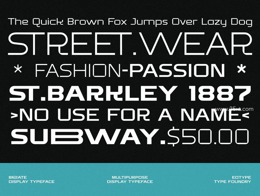 25xt-164260-Brate - Family Display Typeface3.jpg