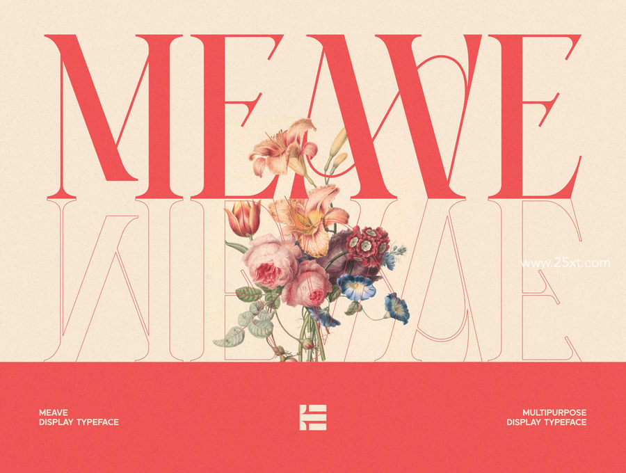 meave display typeface.jpg