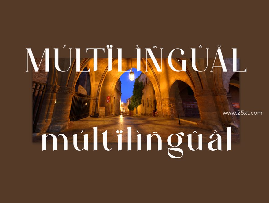 25xt-164729-Vitage Serif8.jpg