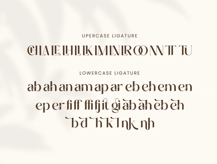 25xt-164729-Vitage Serif7.jpg