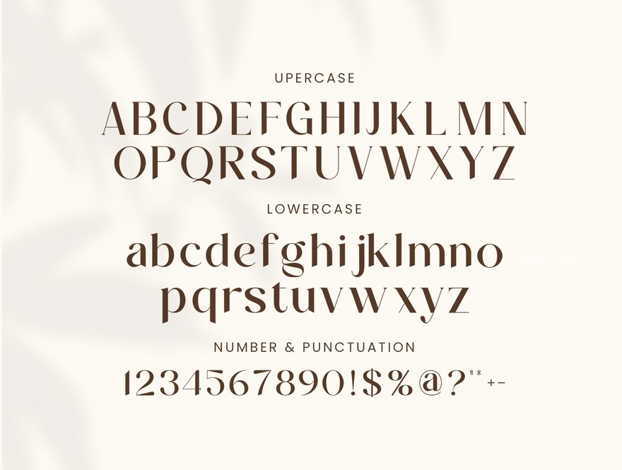25xt-164729-Vitage Serif6.jpg