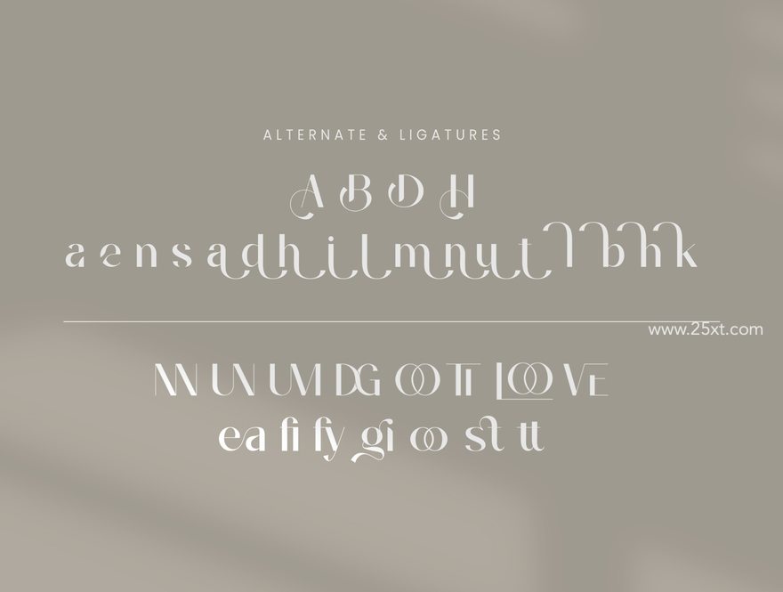 25xt-164811-Bagins Sans Serif10.jpg