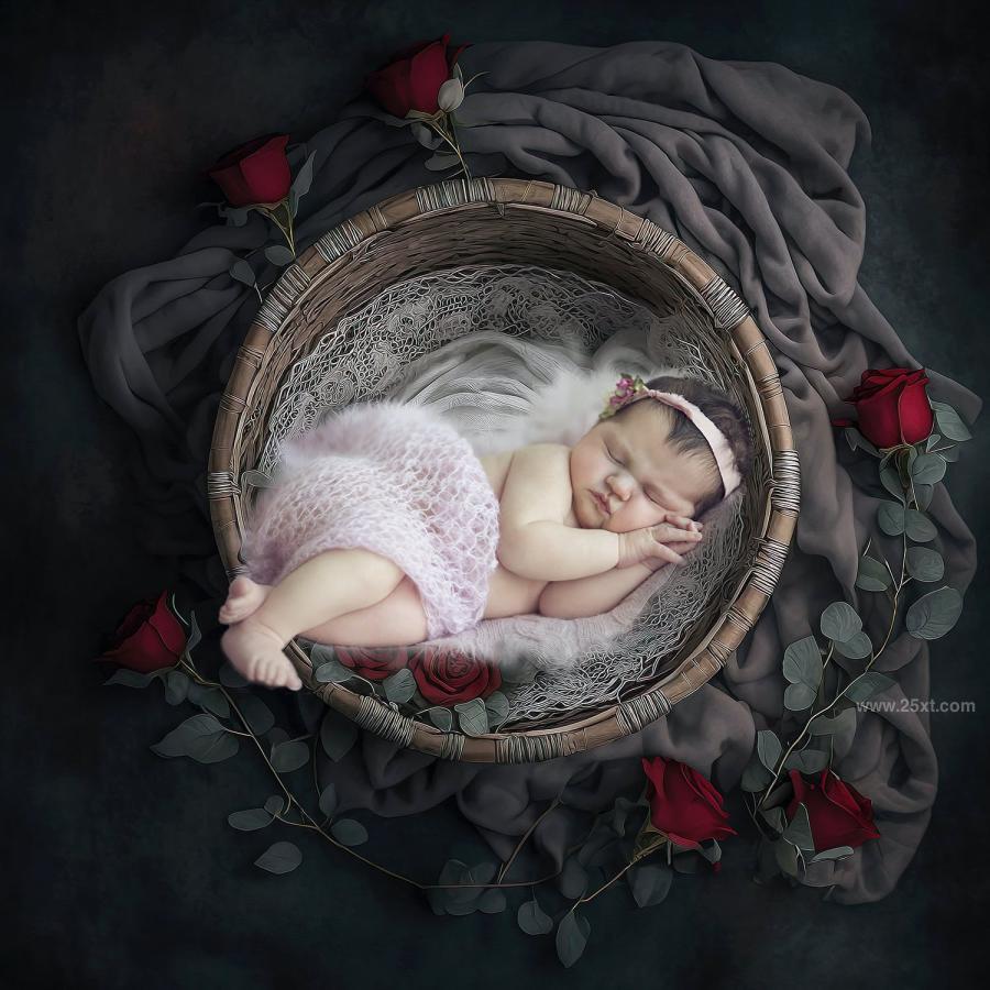 25xt-164766-25NewbornDigitalBacks-Backgroundsz4.jpg