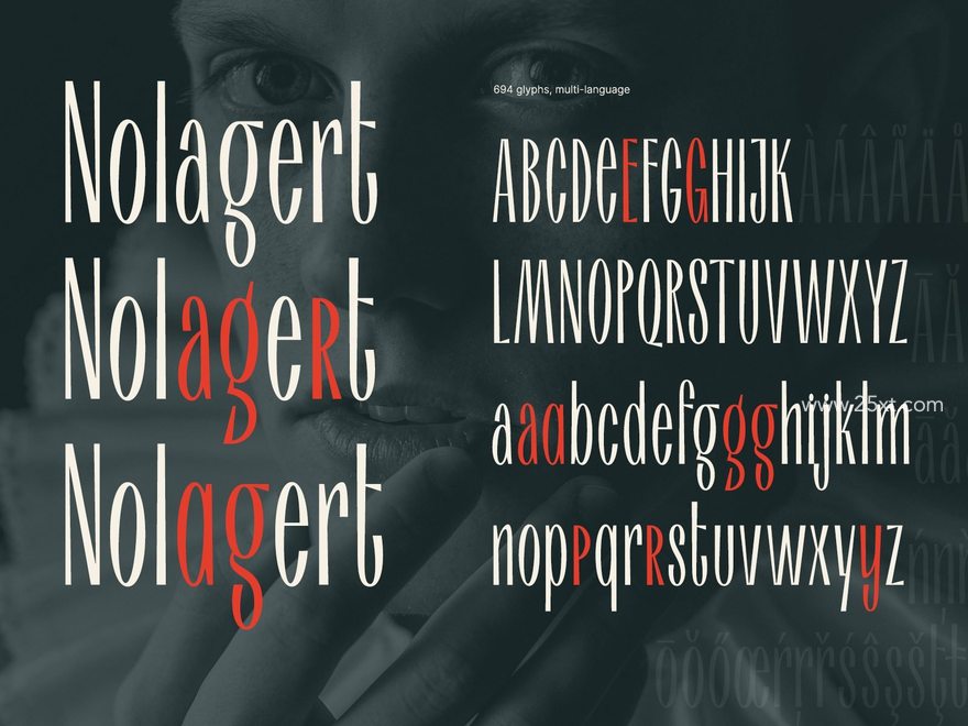 25xt-165186-Nolagert2.jpg