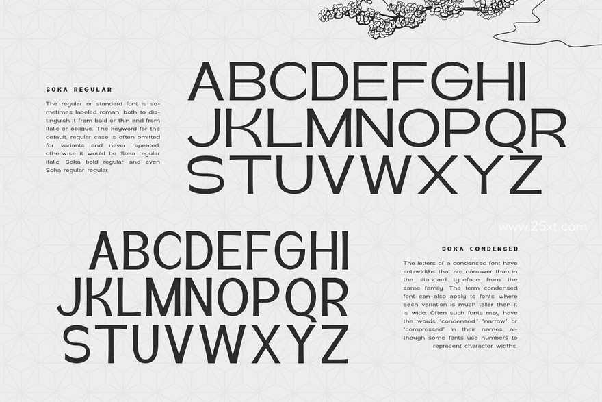 25xt-165498-Soka Typeface11.jpg