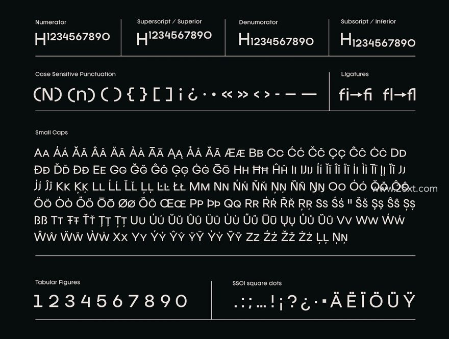 25xt-165554-Franie Geometric Sans Family5.jpg