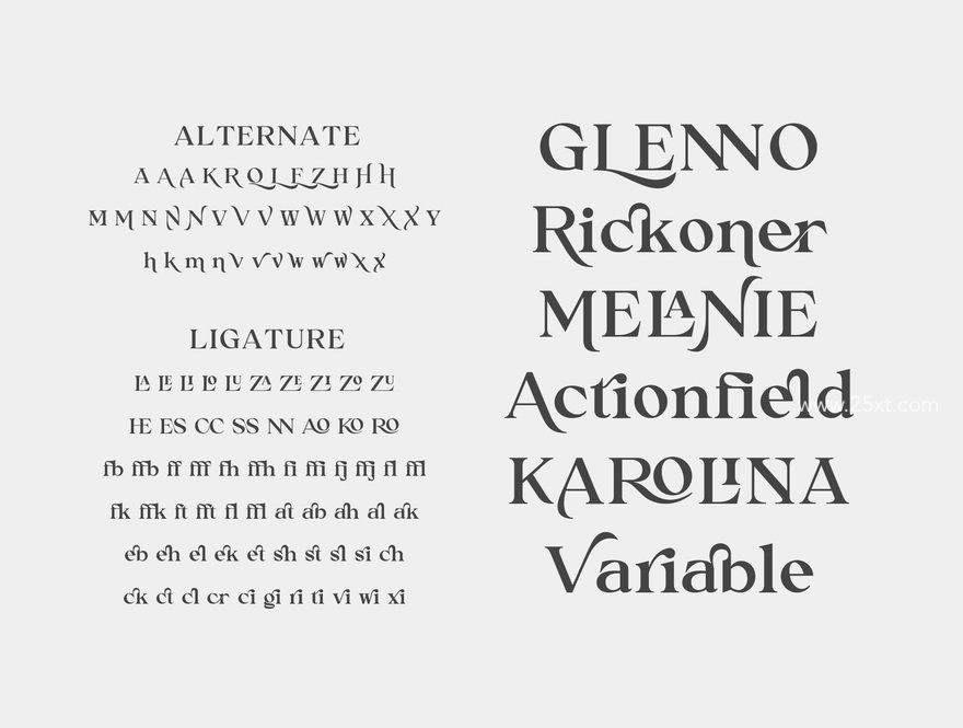 25xt-165569-Rogenne Font9.jpg