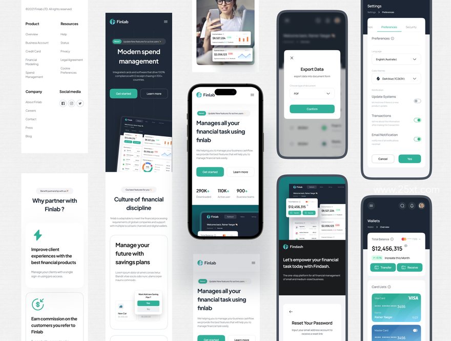25xt-165689-Finlab - SaaS Finance Website UI Kit6.jpg