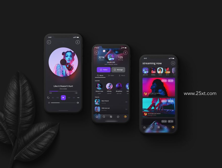 25xt-165712-Music app UI Kit9.jpg