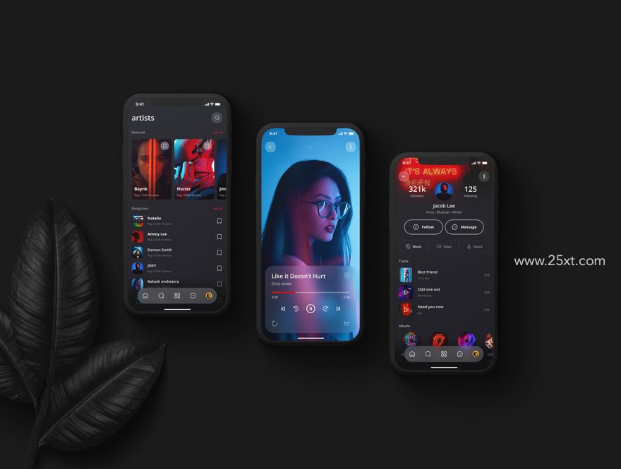 25xt-165712-Music app UI Kit6.jpg