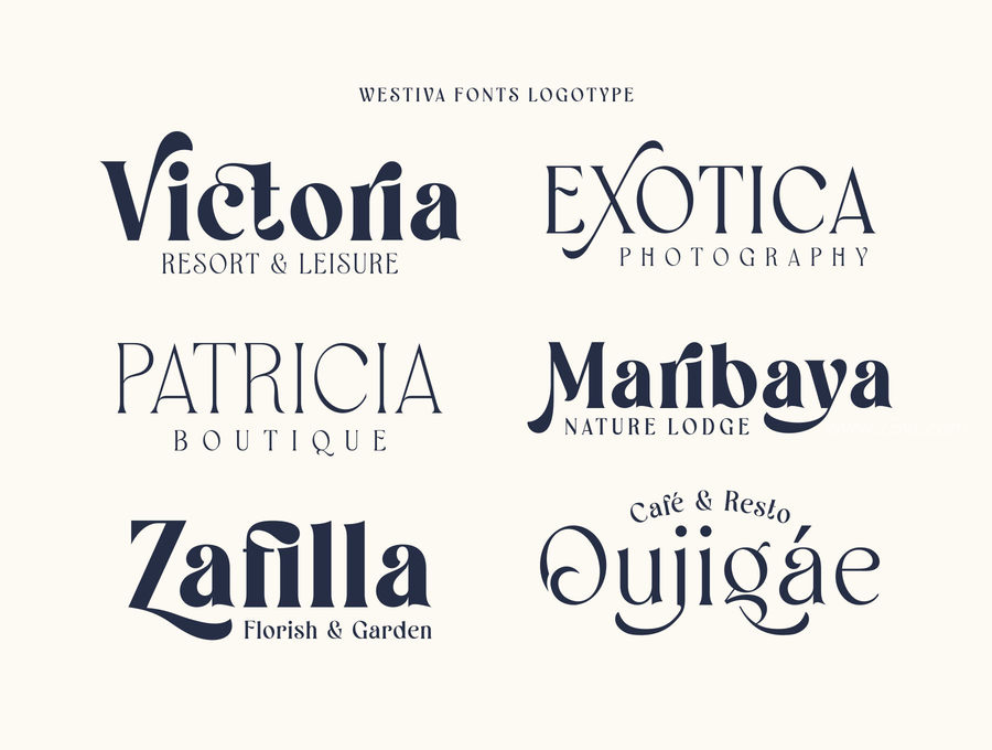 25xt-173198-Westiva Fonts Family6.jpg