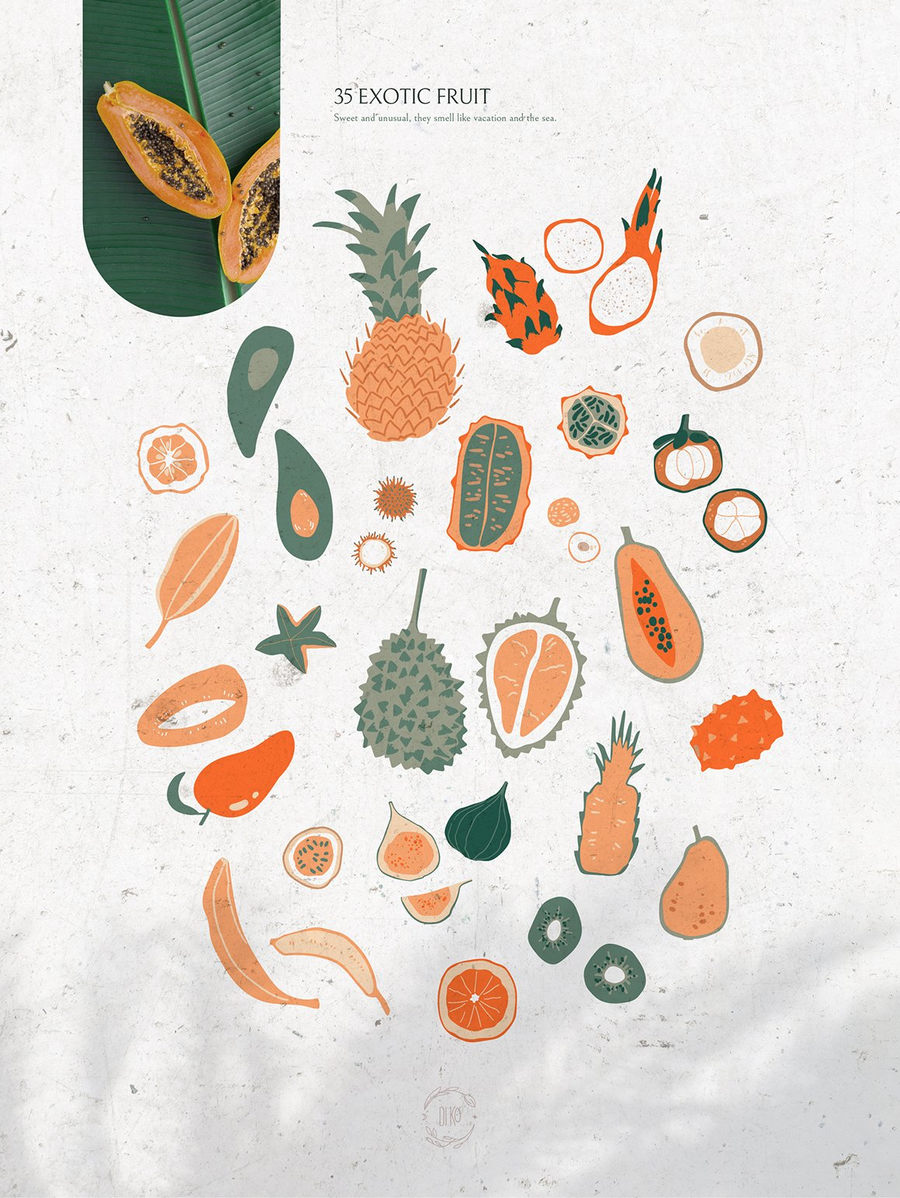 25xt-173201-Gentle Tropics graphic kit11.jpg