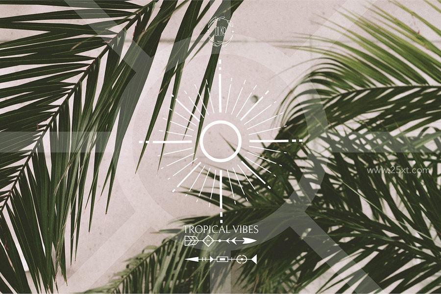 25xt-173201-Gentle Tropics graphic kit12.jpg